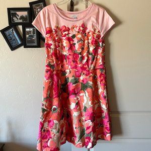 Isaac Mizrahi Live! Dress Size 16